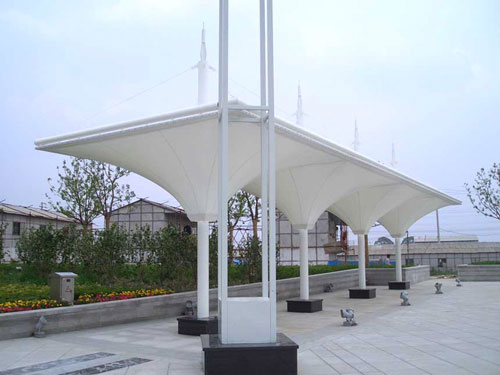 蔬菜生產基地膜結構